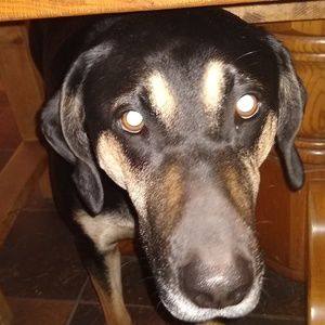 Meet your Posher, Adrienne